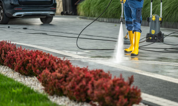 Best Driveway Pressure Washing  in Randolph, WI